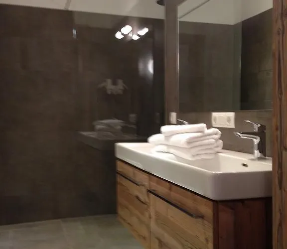 酒店 阿尔本利克酒店 萨尔巴赫